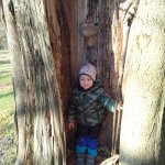 phoca_thumb_m_obora 2 Fotogalerie